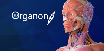 3D Organon