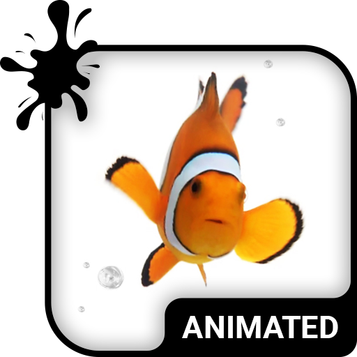 Clown Fish Animated Keyboard Live Wallpaper Old Versions For Android Aptoide - clownfish clipart transparent clownfish roblox png