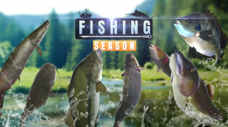 Temporada de Pesca: Río al Océano screenshot 1