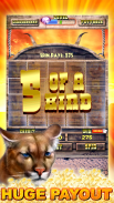Slots Buffalo Free Casino Game screenshot 1