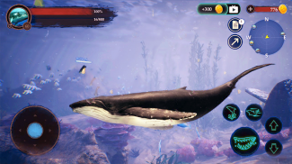 The Humpback Whales screenshot 13