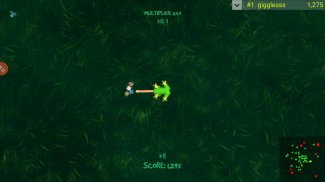 Frogar.io: Frog Eater IO Game screenshot 7