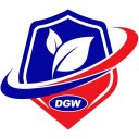 DGW Solution icon