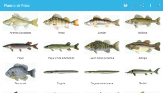 Planeta Peixes screenshot 9