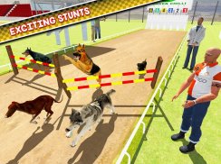 Dog Training Jump & Stunt Sim screenshot 8