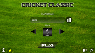 Cricket Classic Game screenshot 0