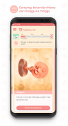 Hallobumil: Aplikasi Kehamilan screenshot 2