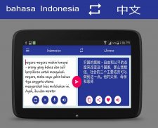 Indonesian Chinese Translator screenshot 7