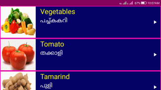 Learn English from Malayalam screenshot 1