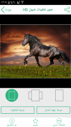 صور خلفيات خيول HD screenshot 0