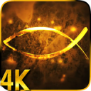 Jesus Fish Symbol 4K LWP