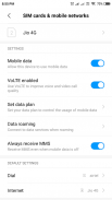 Switch Mobile Data  and Roaming screenshot 0