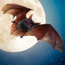 Wilde Bat 3D Simulator Icon