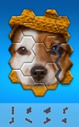 Hexa Jigsaw Puzzle™ screenshot 2