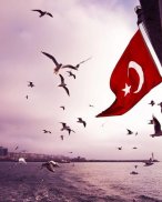 Turkish Flag Wallpapers screenshot 5