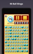 Bingo em Casa screenshot 12