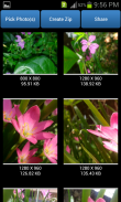 QReduce: Photo Reducer screenshot 2