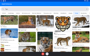 Anek Dictionary (10+ in one) screenshot 19