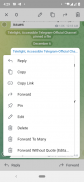 Telelight-Accessible Telegram screenshot 2