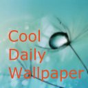 Cool Daily Wallpaper Icon