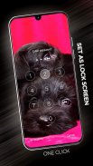 Puppies Wallpapers in 4K screenshot 0