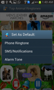 Top Animal Ringtones screenshot 4