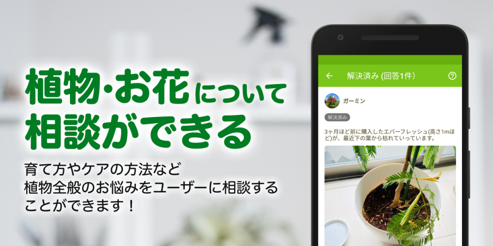 Greensnap 植物 花の名前が判る写真共有アプリ 2 28 10 Descargar Apk Android Aptoide