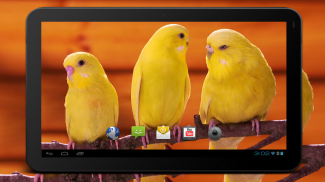 4K Yellow Live Video Wallpaper screenshot 5