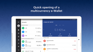 ePayments: wallet & bank card screenshot 9