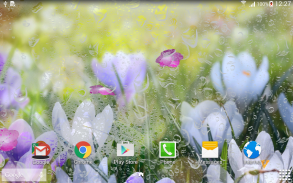 Spring Flower Live Wallpaper screenshot 0