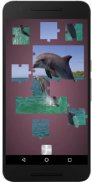 Real Dolphins Game : Jigsaw Pu screenshot 5