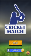 Cricket Tile Match screenshot 4