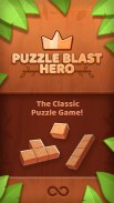 Puzzle Blast screenshot 12