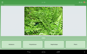 Quiz: Flowers, Plants screenshot 3