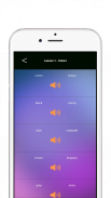 Learn Polish from lessons screenshot 5
