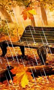 Autumn Rain live wallpaper screenshot 2