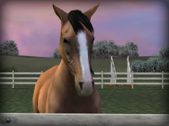 My Horse screenshot 1