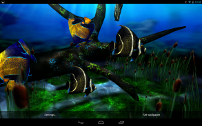 My 3D Fish II screenshot 2