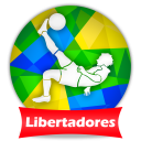 Futebol Libertadores 2024