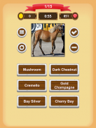 Horse Coat Colors Quiz screenshot 4
