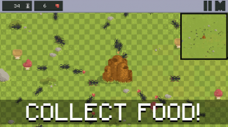 Ant Colony - Simülatör screenshot 3