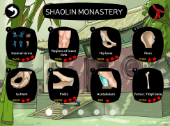 Anatomy Ninja screenshot 6