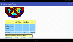 Chi Square, F  & McNemar test screenshot 3