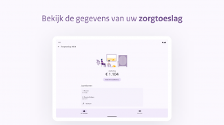 Toeslagen screenshot 5