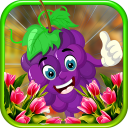 Beautiful Grapes Escape - JRK Icon