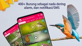 Lagu Burung: Nada Dering screenshot 0