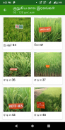 Paddy Varieties screenshot 15