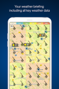 RunwayMap: Flugwetter & 3-D Ansicht für Piloten screenshot 5