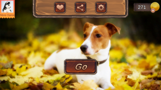 Jack Russell Terrier Simulator screenshot 0