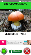 MUSHROOM TYPES screenshot 2